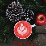 thankful-for-the-gift-picture-of-christmas-red-hot-drink